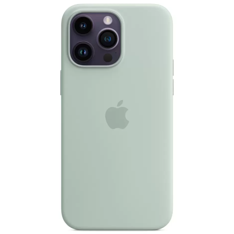 картинка Чехол Silicone Case MagSafe for iPhone 14 Pro Succulent от магазина КомпьютерЦентр