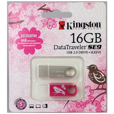 картинка Флешка USB Kingston 16Gb DTSE9 Women's Day (KC-U4616-2U) от магазина КомпьютерЦентр