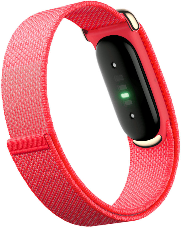 картинка Фитнес-браслет Google Fitbit Air Berry от магазина КомпьютерЦентр