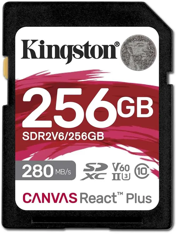 картинка Карта памяти 256Gb SDXC Kingston Canvas Repact Plus w/ o adapter (SDR2V6/ 256GB) от магазина КомпьютерЦентр