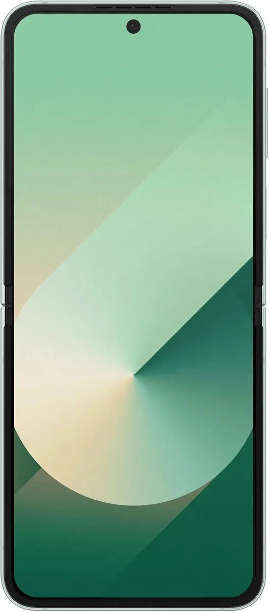 картинка Смартфон Samsung Galaxy Z Flip 6 12/ 512Gb Mint (SM-F741B) от магазина КомпьютерЦентр