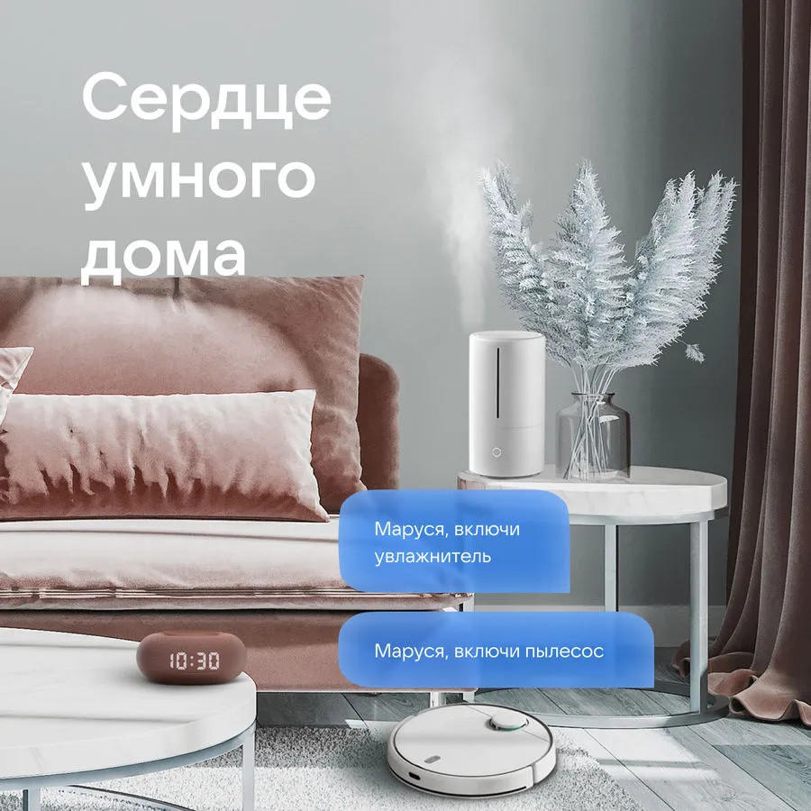 картинка Умная колонка VK Капсула Мини, Маруся, терракотовый (MRC02PK) от магазина КомпьютерЦентр