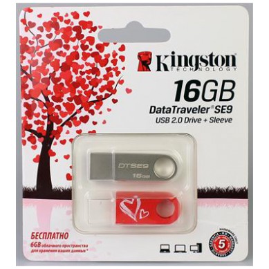 картинка Флешка USB Kingston 16Gb DTSE9 Valentine's Day (KC-U4616-2U2) от магазина КомпьютерЦентр
