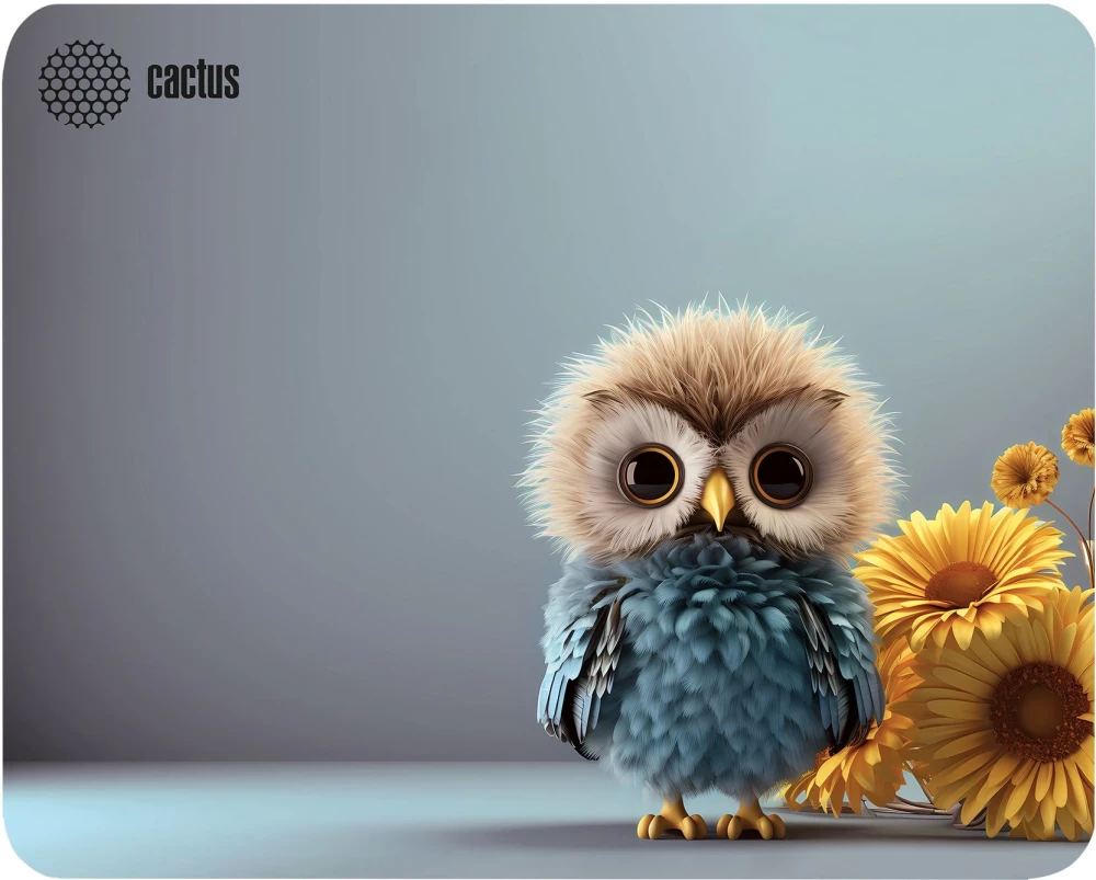 картинка Коврик для мыши Cactus Owl gray 300x250x3мм (CS-MP-D12M) от магазина КомпьютерЦентр