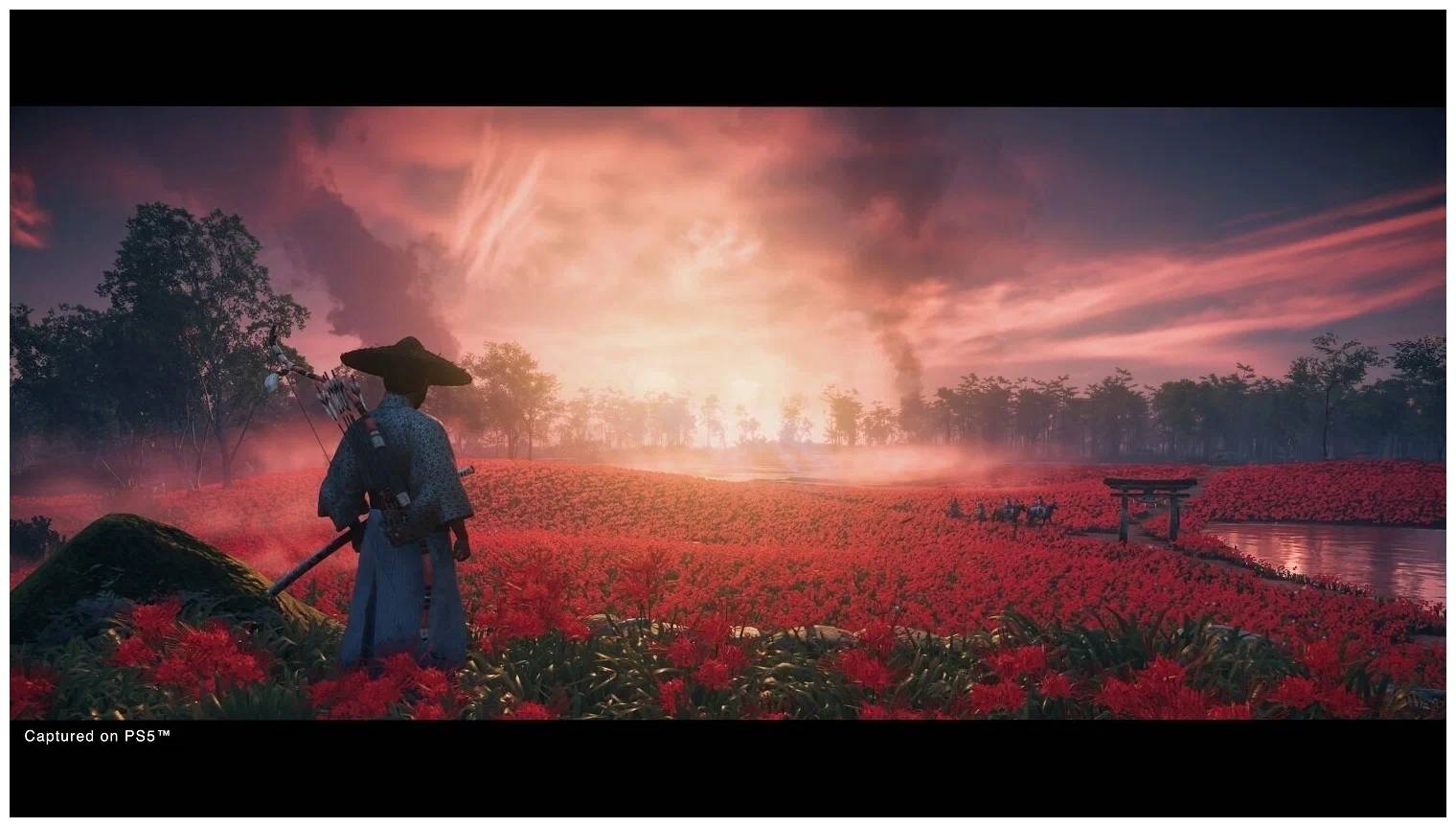 картинка Игра Призрак Цусимы (Ghost of Tsushima Director's Cut) PlayStation 4, русская версия от магазина КомпьютерЦентр