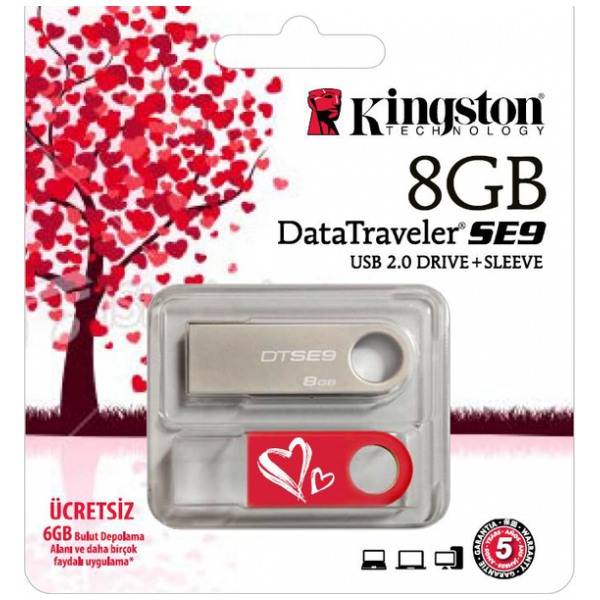 картинка Флешка USB Kingston 8Gb DataTraveler SE9 Valentine's Day (KC-U468G-2U2) от магазина КомпьютерЦентр