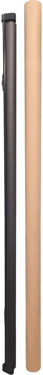 картинка Экран Cactus 100'' 180x180см Map type CS-PSRM-180x180-BK 1:1 настенно-потолочный рулонный черный от магазина КомпьютерЦентр