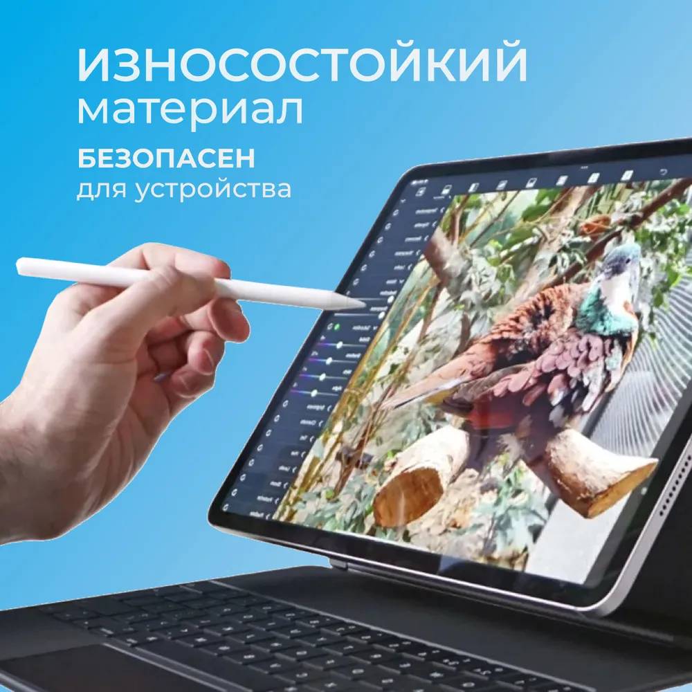 картинка Наконечник для стилуса Apple Pencil (1 и 2 поколение), 2 шт, белый от магазина КомпьютерЦентр